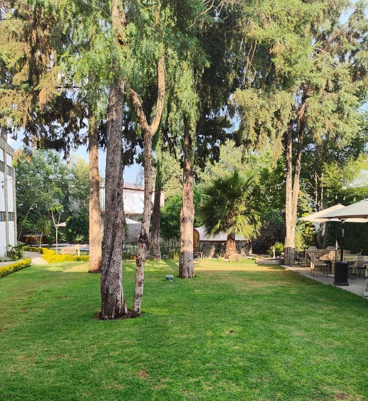 Hotel Boutique Camino Del Bosque By Rotamundos Cholula Dış mekan fotoğraf